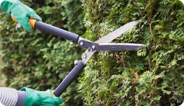 Pihaan ja puutarhaan